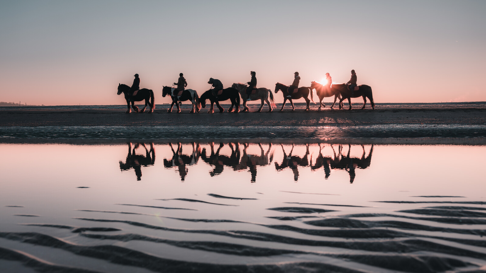 Balade à cheval sur la plage - marée basse