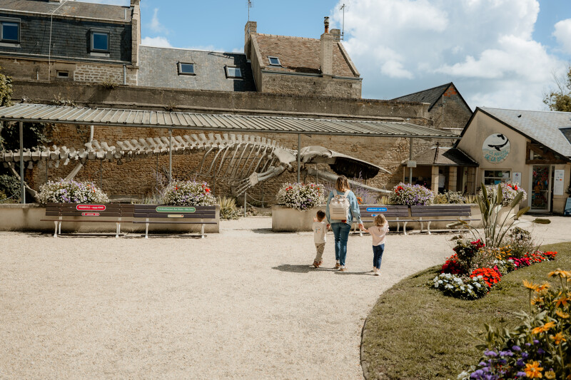 Parc de la baleine à Luc-sur-mer
